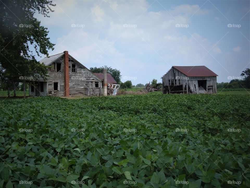Old house and barn