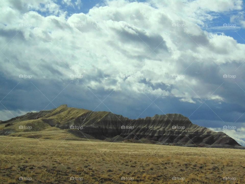 Green rocky slope. 