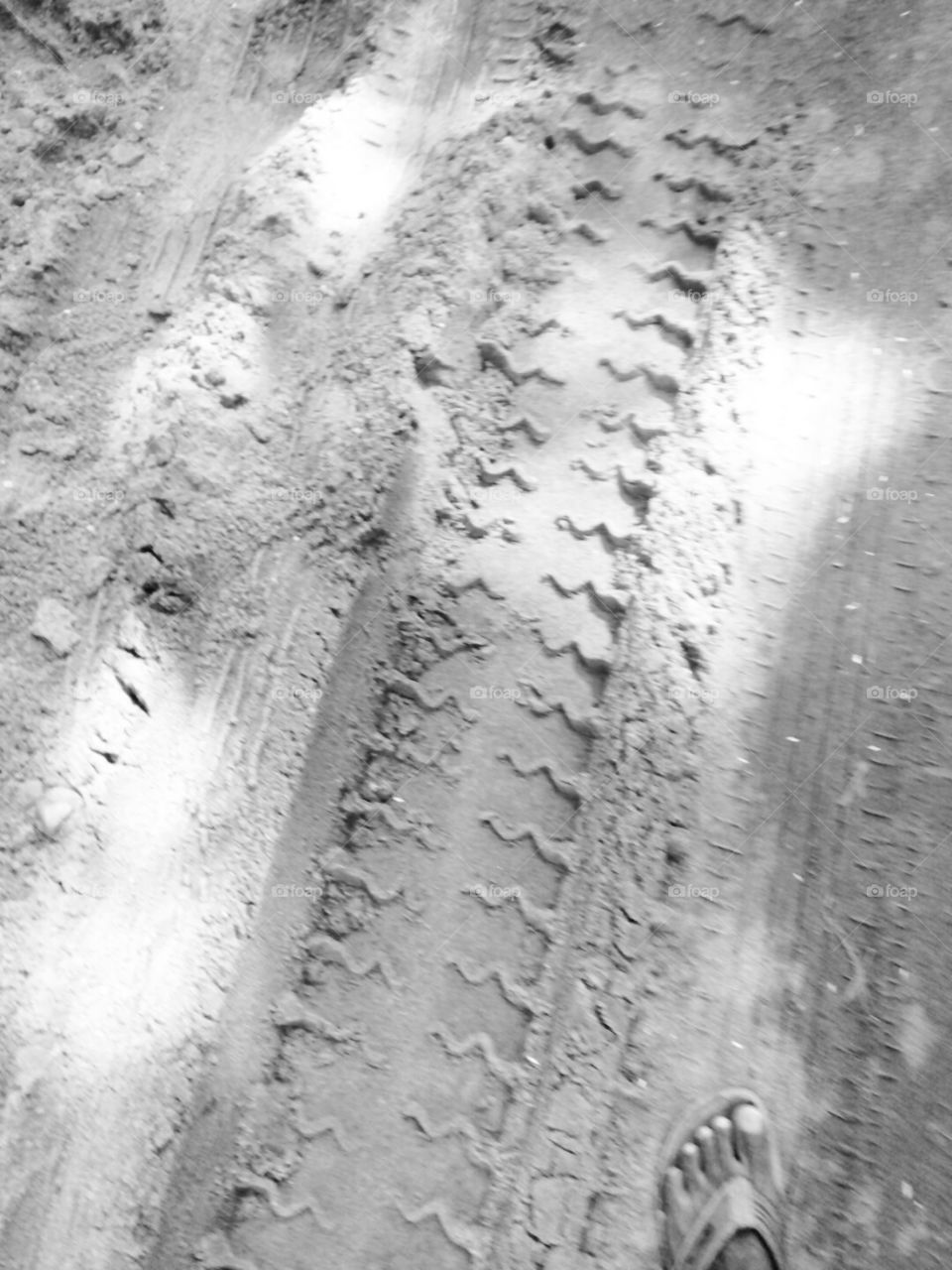 real picture,new art photo,classic picture,A great photo,a photo for everyone,a memorable photoa no. photoa cherished photo,a beautiful photo,a great photo for the best people,a sample of beautiful photography,b&w,good b&w picture,