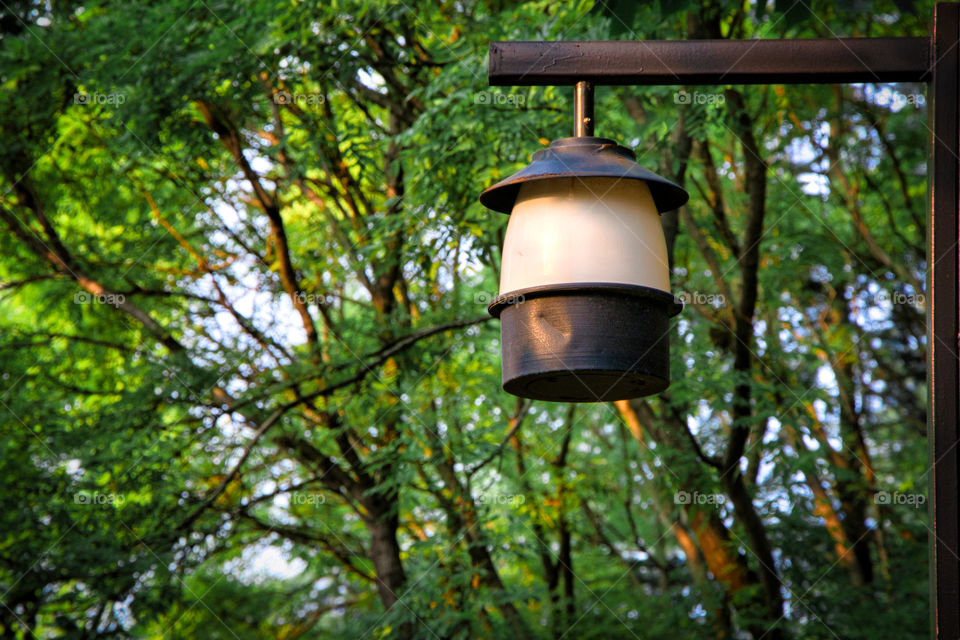 Lantern (light)