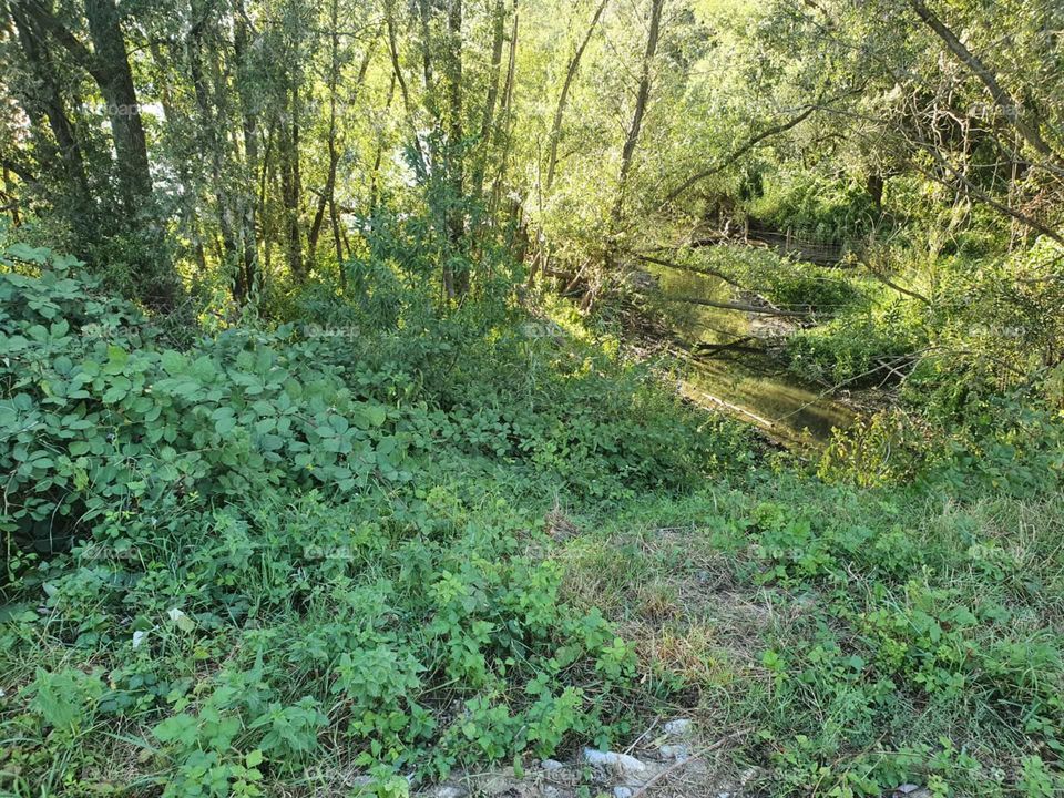 Green hilly path down.