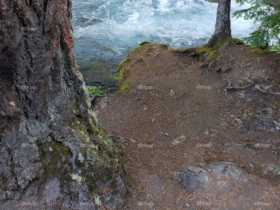 The sun rises on the rapids of the McKenzie River at Koosah Falls in Western Oregon on a summer morning.