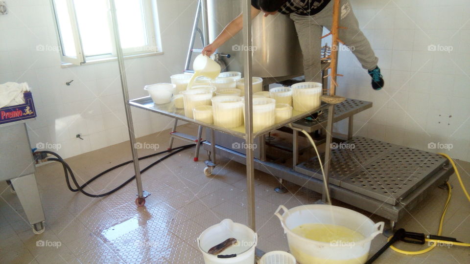 cheese maker mozzarella