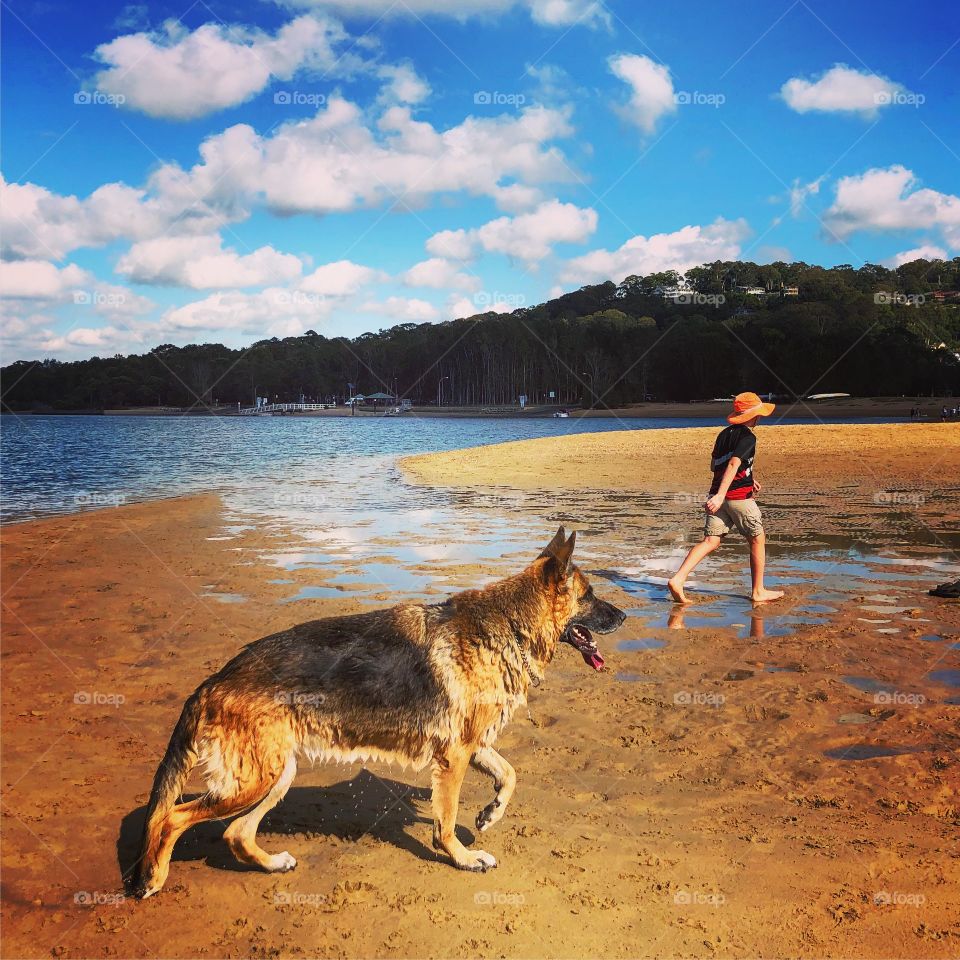 Boy and dog at the beach (German Shepherd)