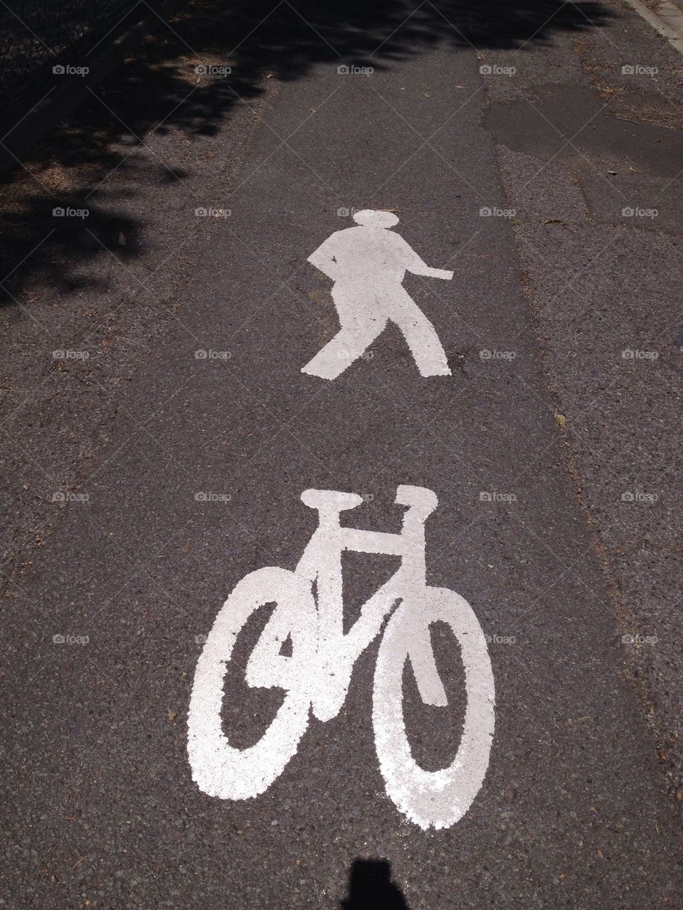 The Walk - a public lane for walking and cycling.