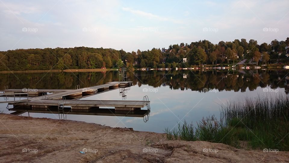 Trees reflecting on lake