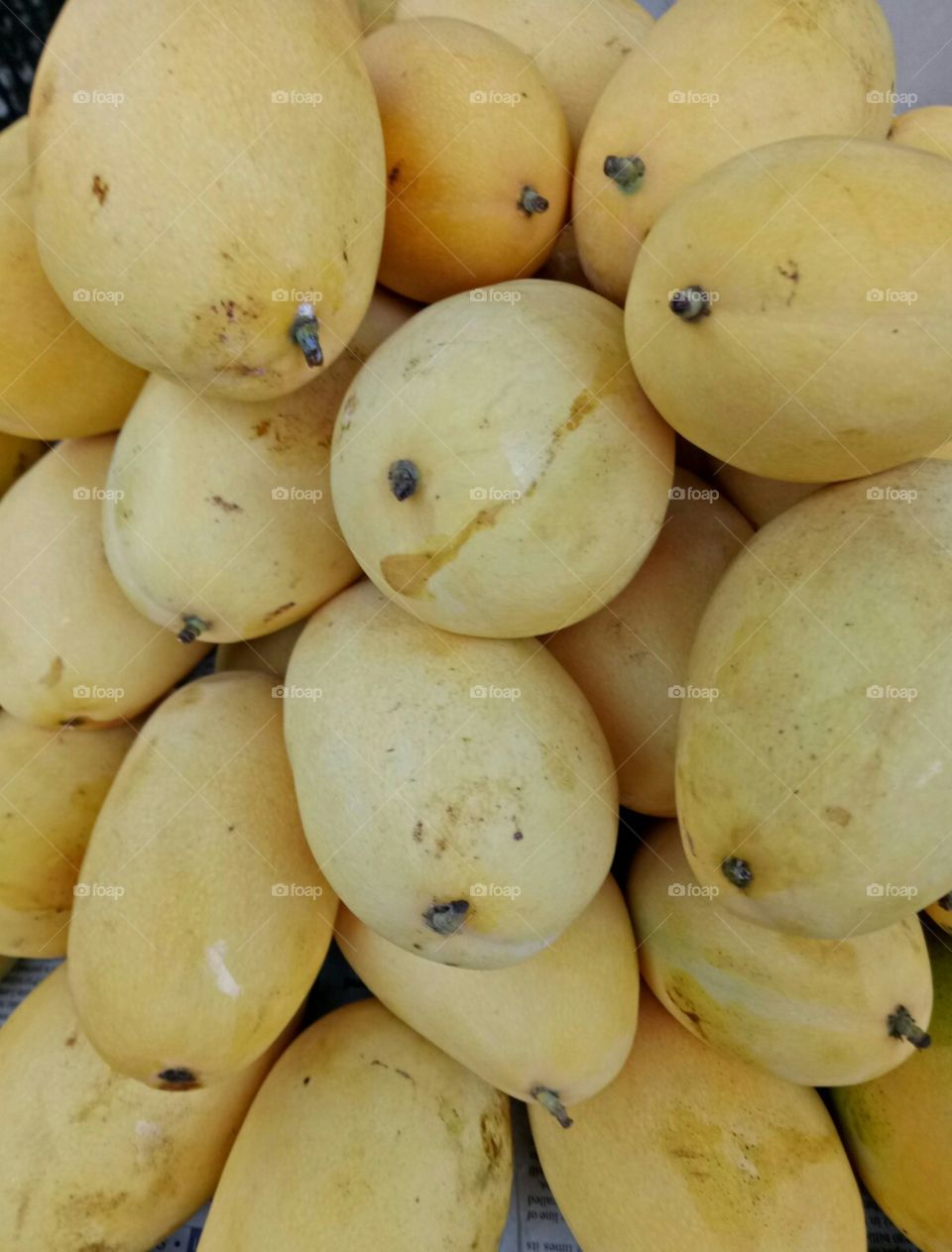 Sweet ripe local mangoes