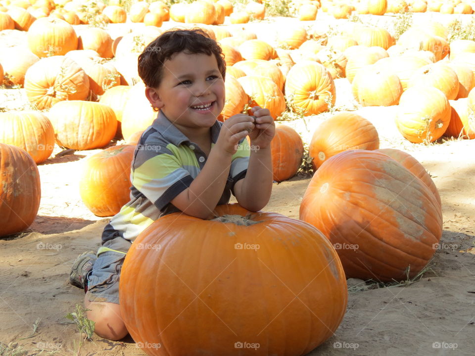 Happy boy playing in a pumpkin patch.