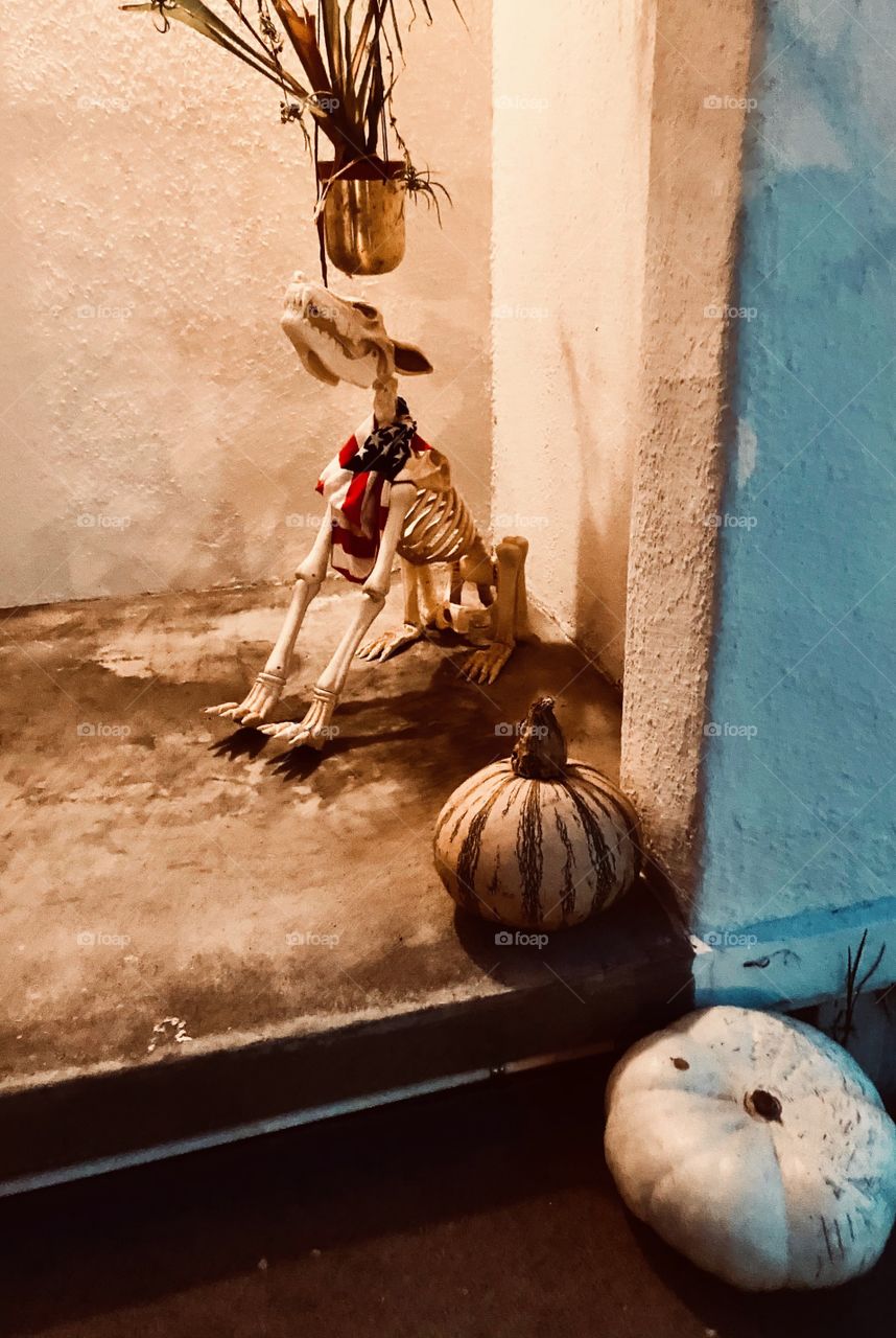 Fun decorative outside 