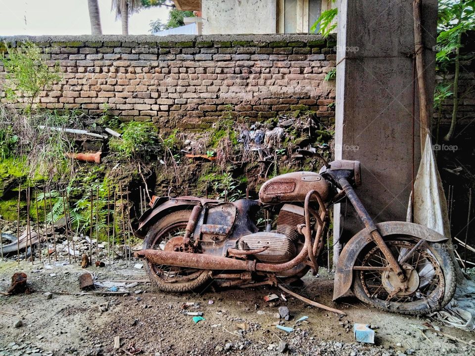 Abandoned Bike rotting till the end