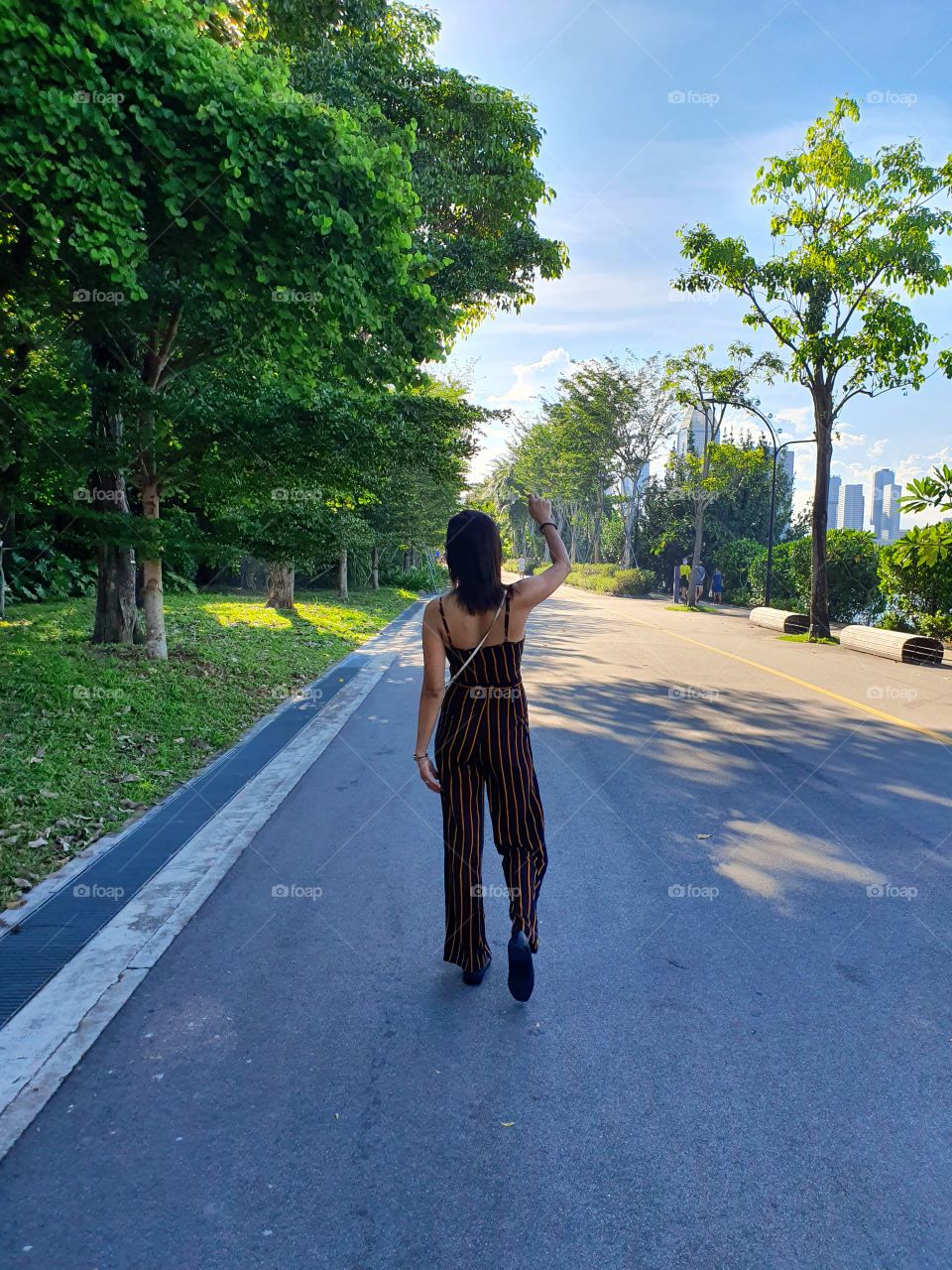a walk in the park with trees and blue sky