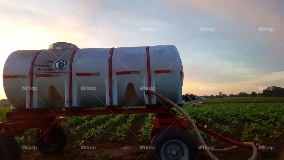 Agriculture, Landscape, Farm, Vehicle, No Person