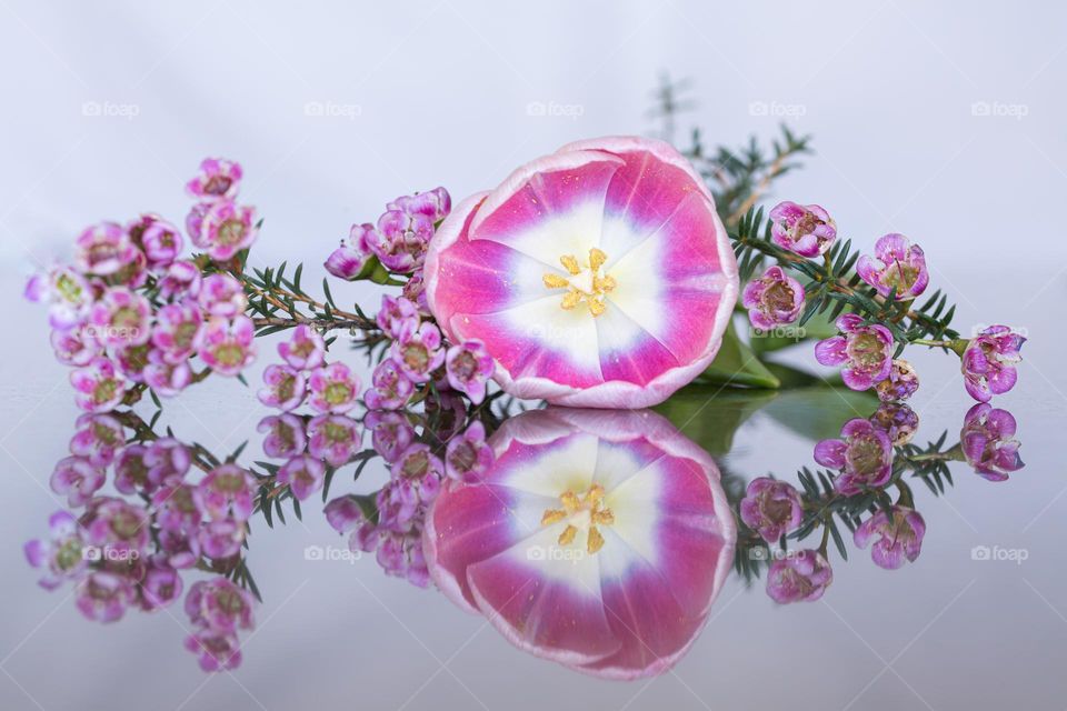 Beautiful blooming pink flowers making reflection in the shiny stone countertop 