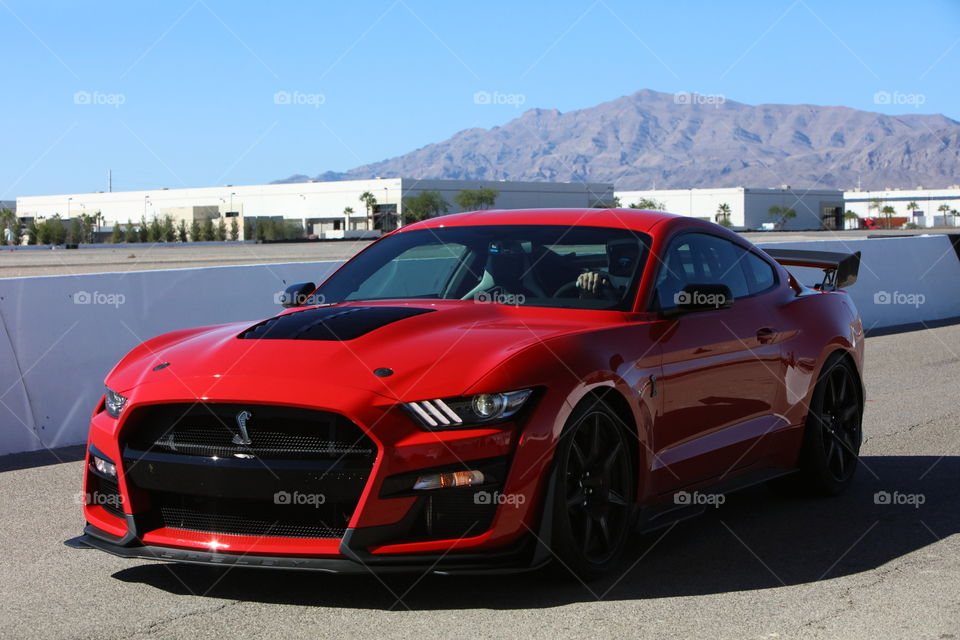 2020 Ford Mustang Shelby GT500 at Las Vegas Motor Speedway racetrack racecar 