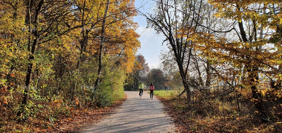riding a bike in autumn forest in Poland