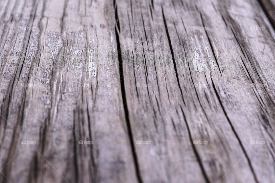 Textured Wood