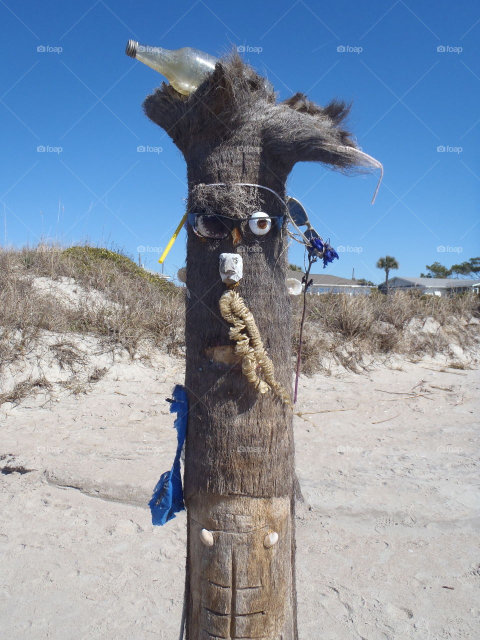 Beach tree carving