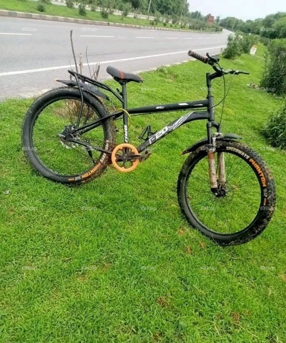 A most beautiful and attractive view of the village road.