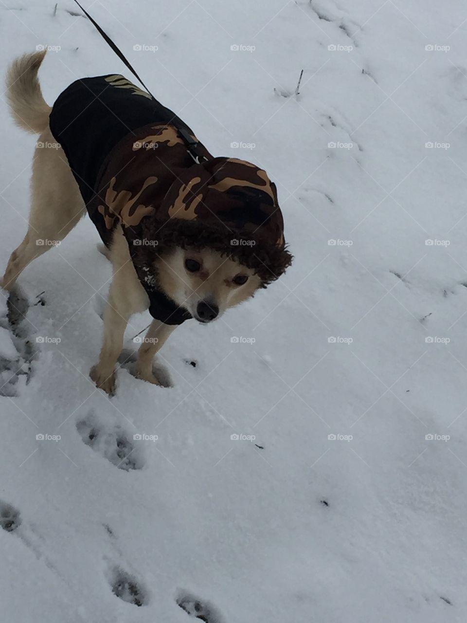 Hiking through the snow