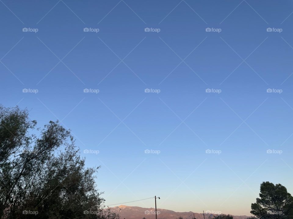 Trees with mountains behind them. 