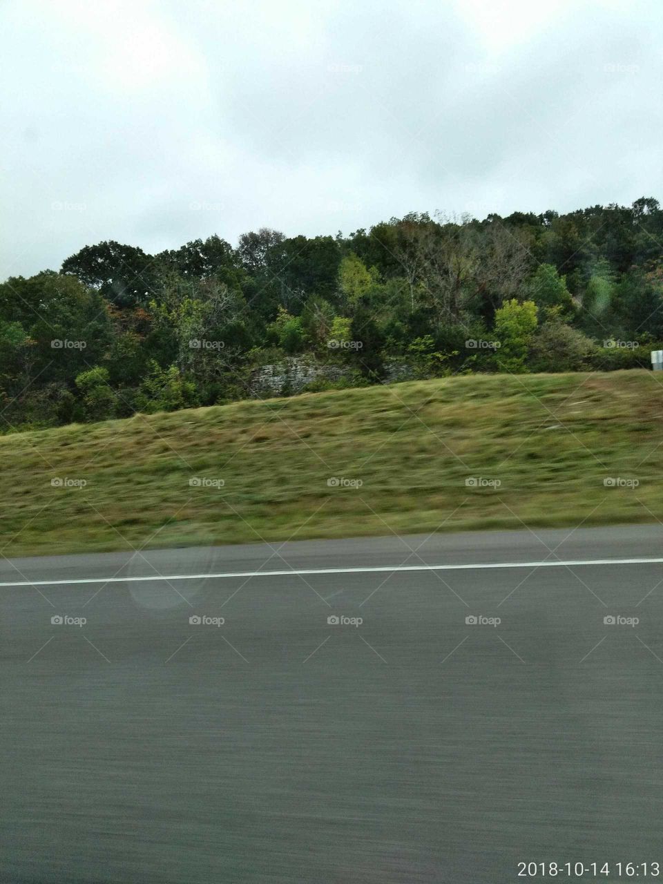 Landscape, Road, Tree, Nature, Outdoors