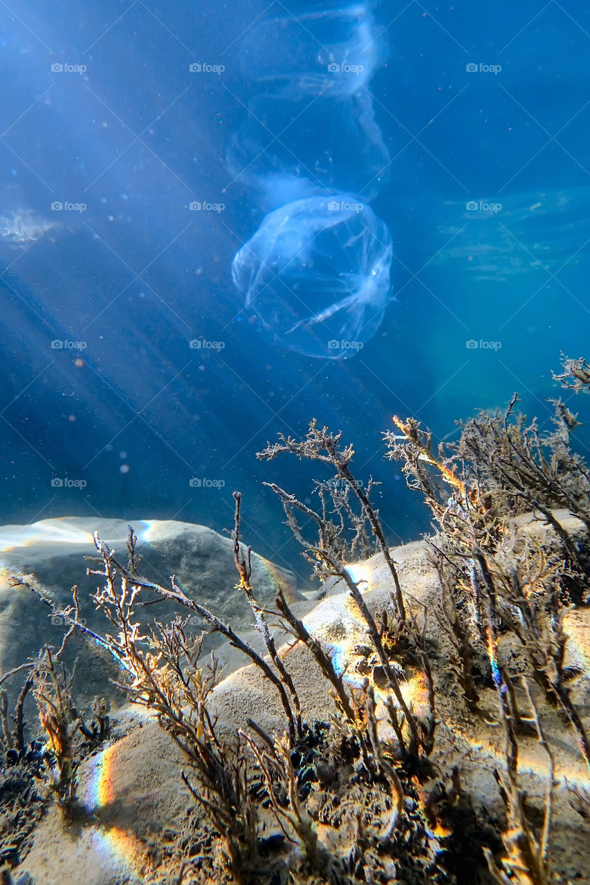 underwater plastic bag UFO mystical