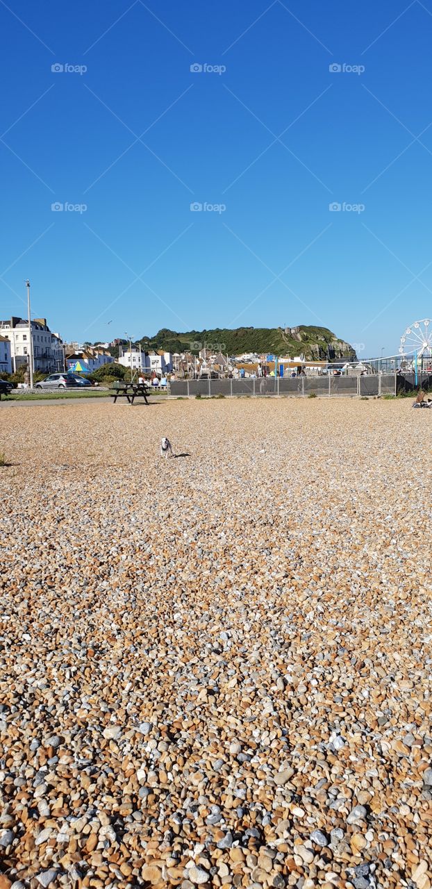 Hastings Beach England
