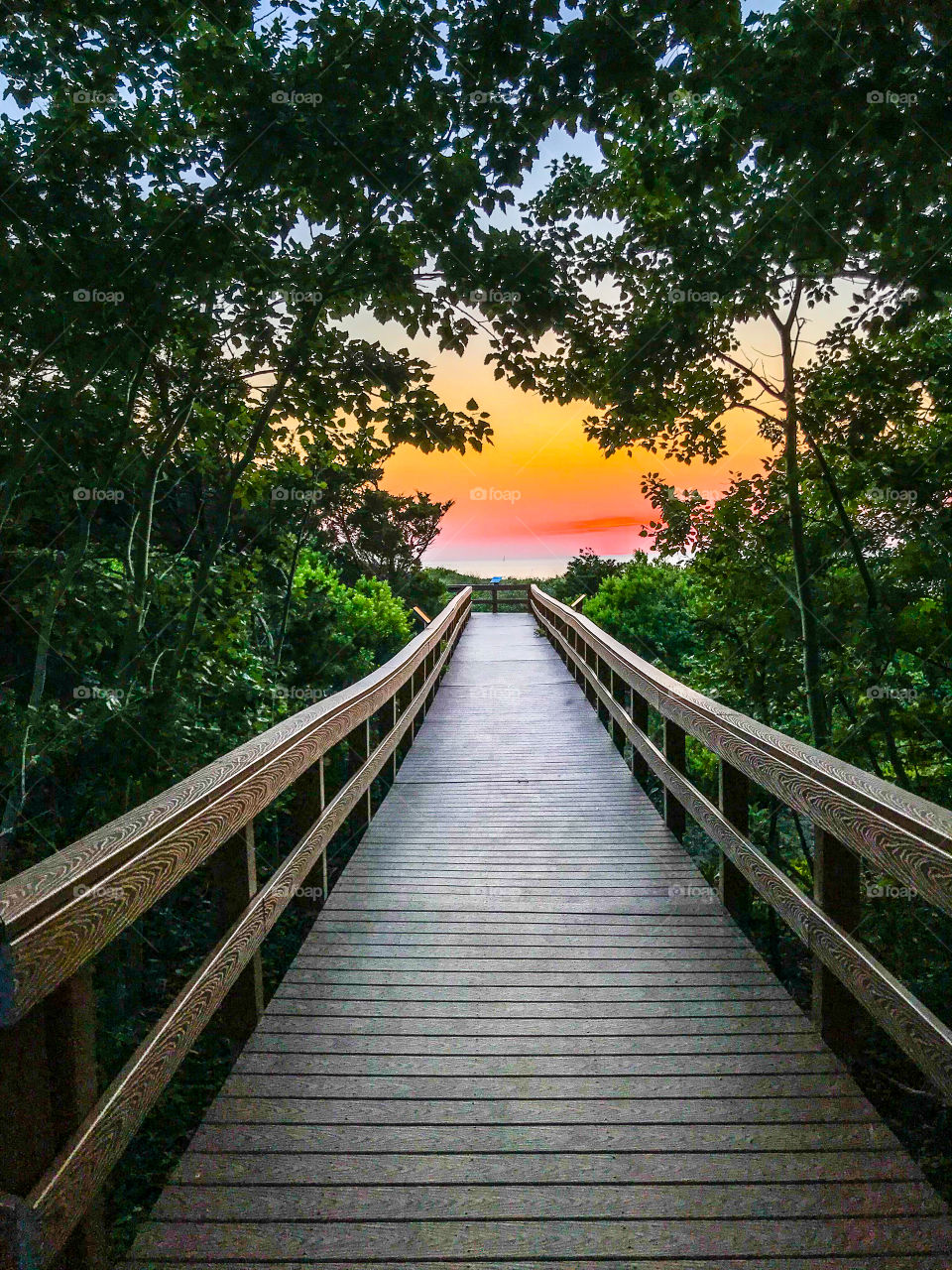 Boardwalk to Paradise - take the new path - leave the past behind.  