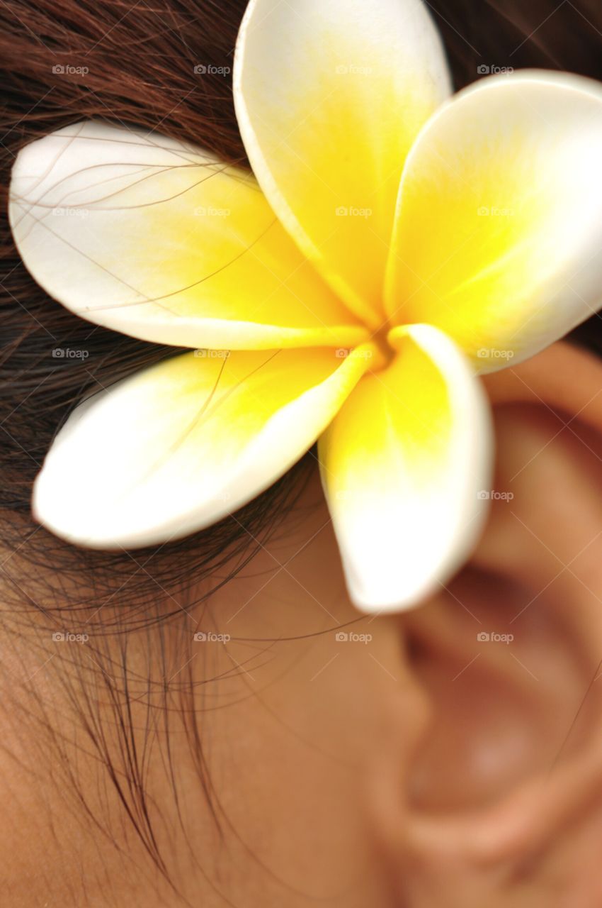 flower on ear