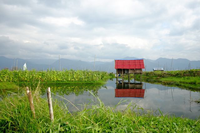 One house