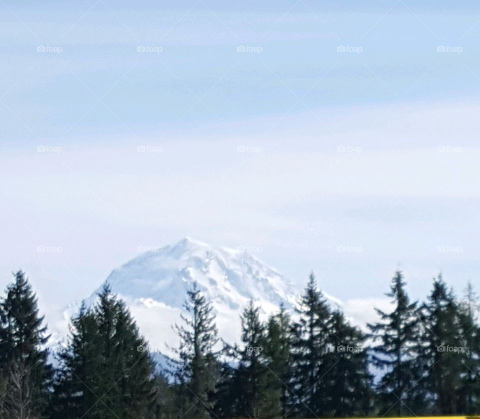 Mt. Rainier