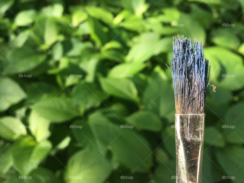 Paint brush in nature 2