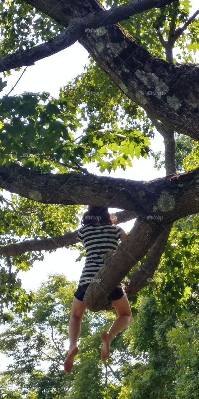 Climbing Trees