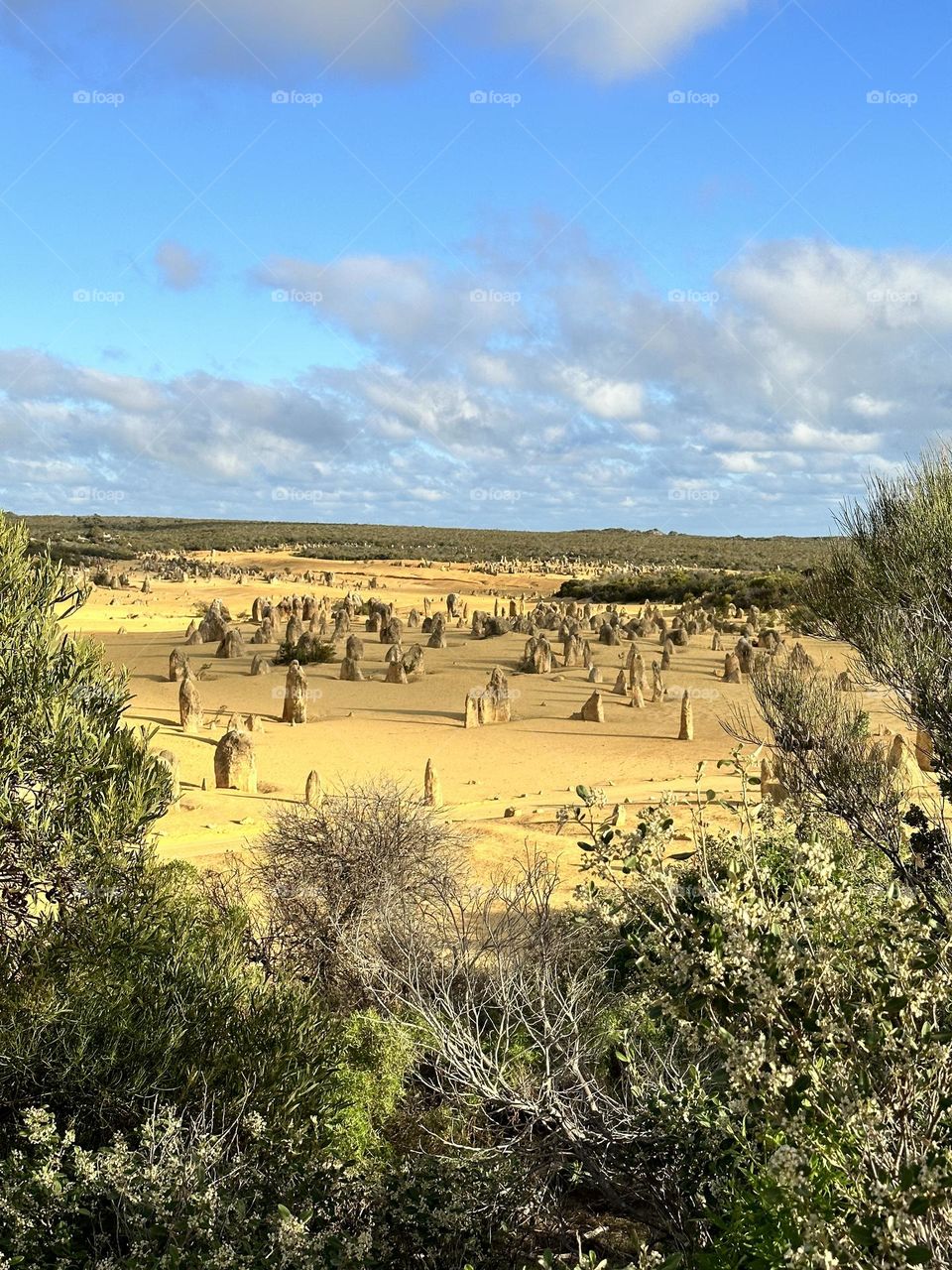 An afternoon at The Pinnacles of Western Australia