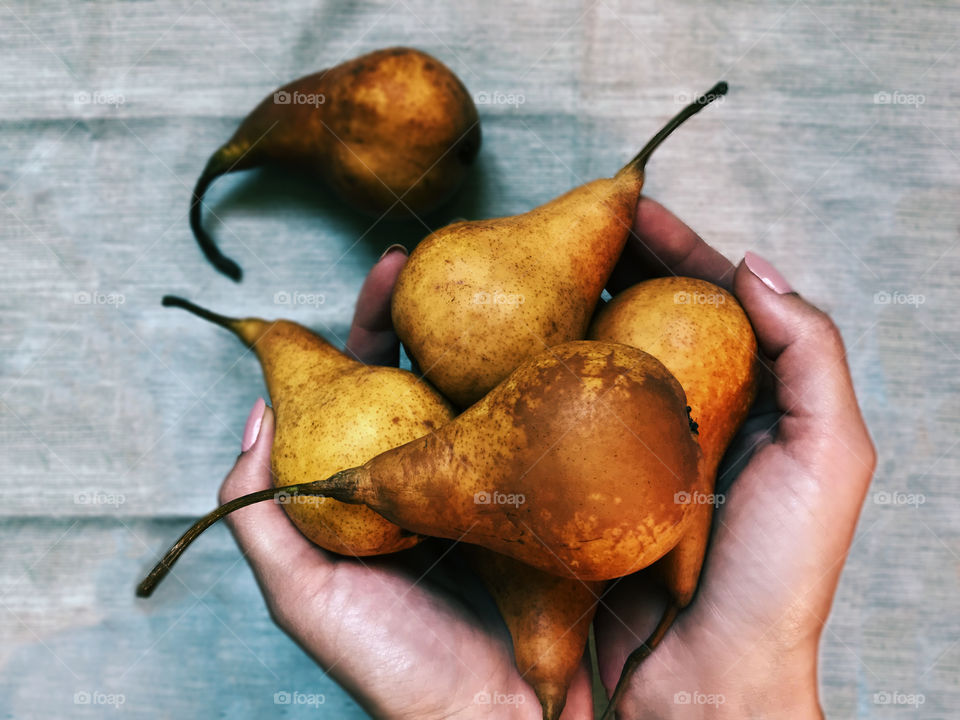 Pears in hands