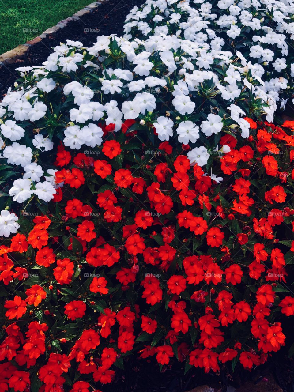 How lucky are we to see such beauty in such a dark world? 