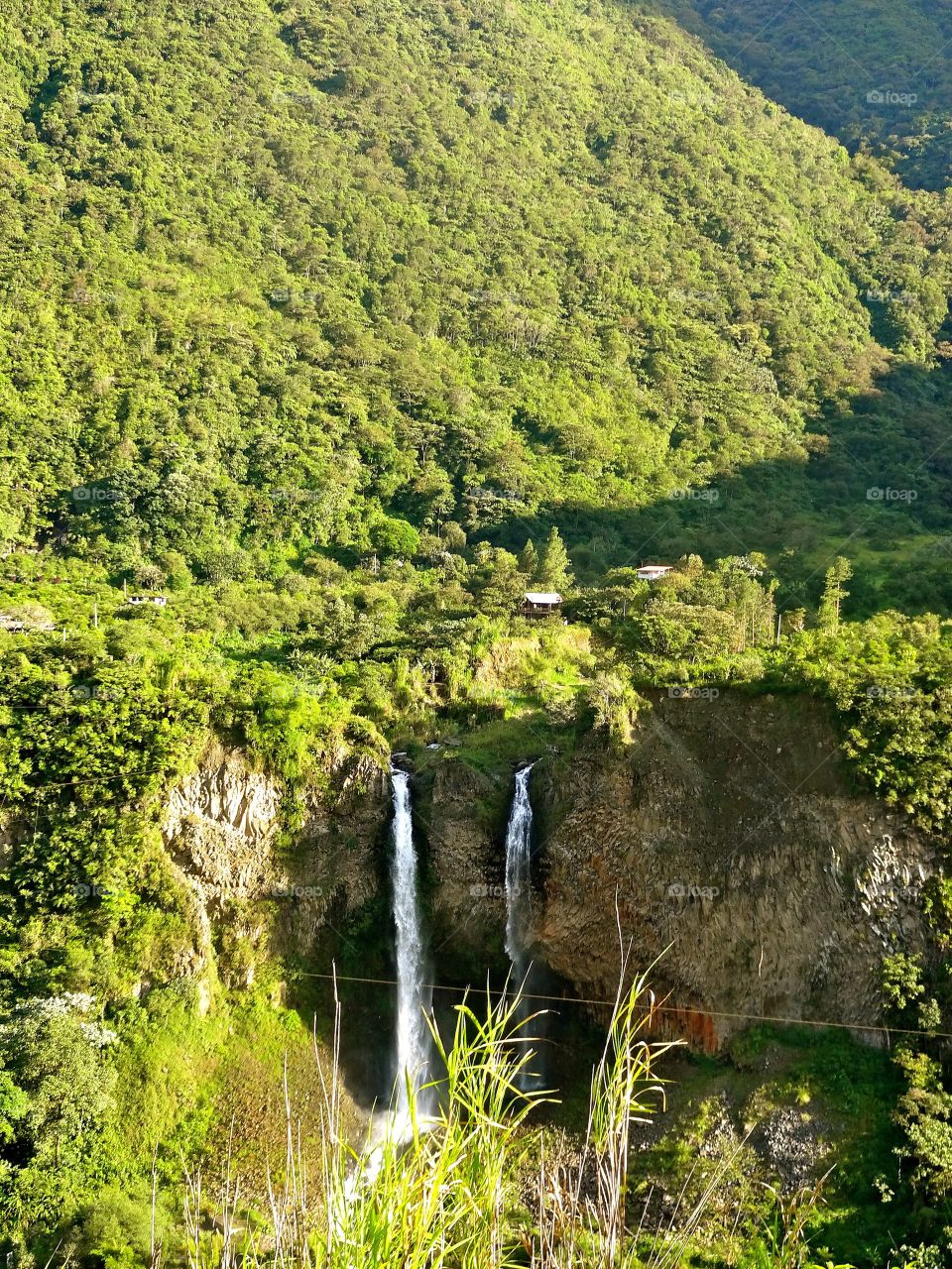 Hiking in the Amazon Basin 