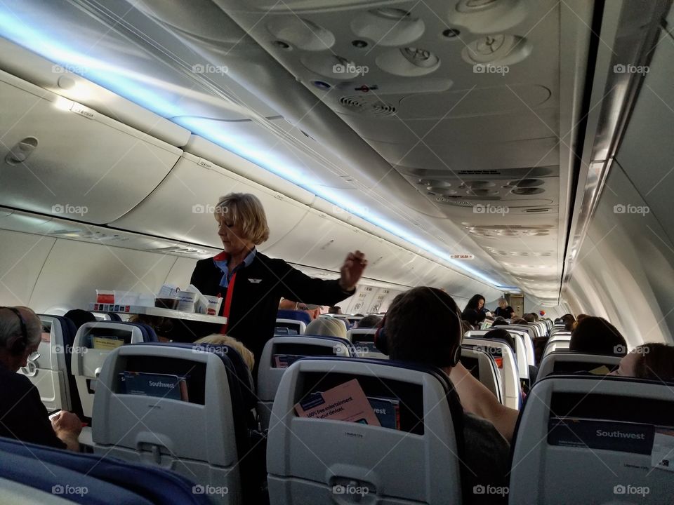 Flight Attendant serving drinks