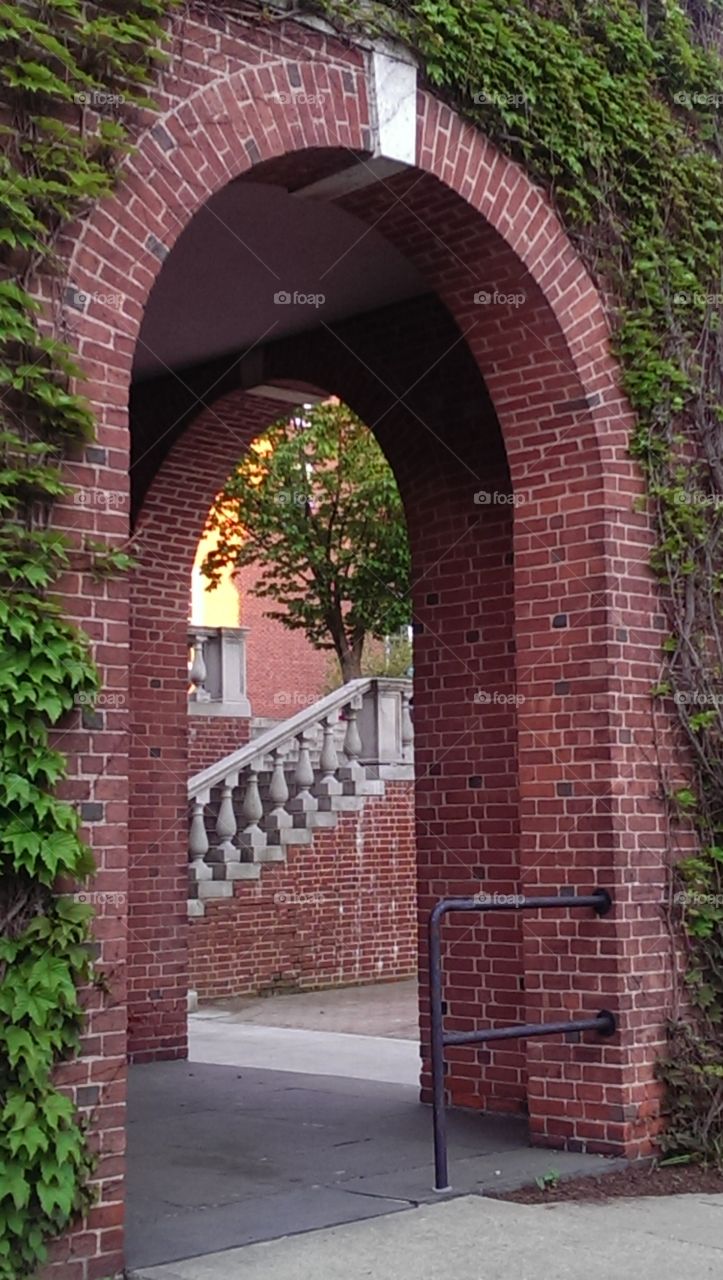 Steps thru the arch way