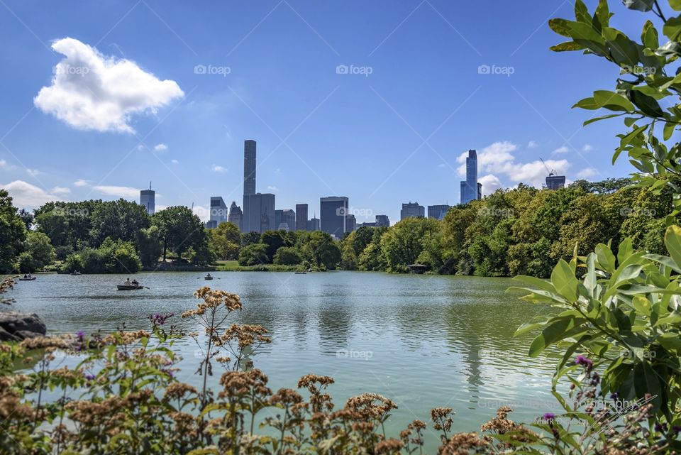 Water, No Person, River, Tree, Lake