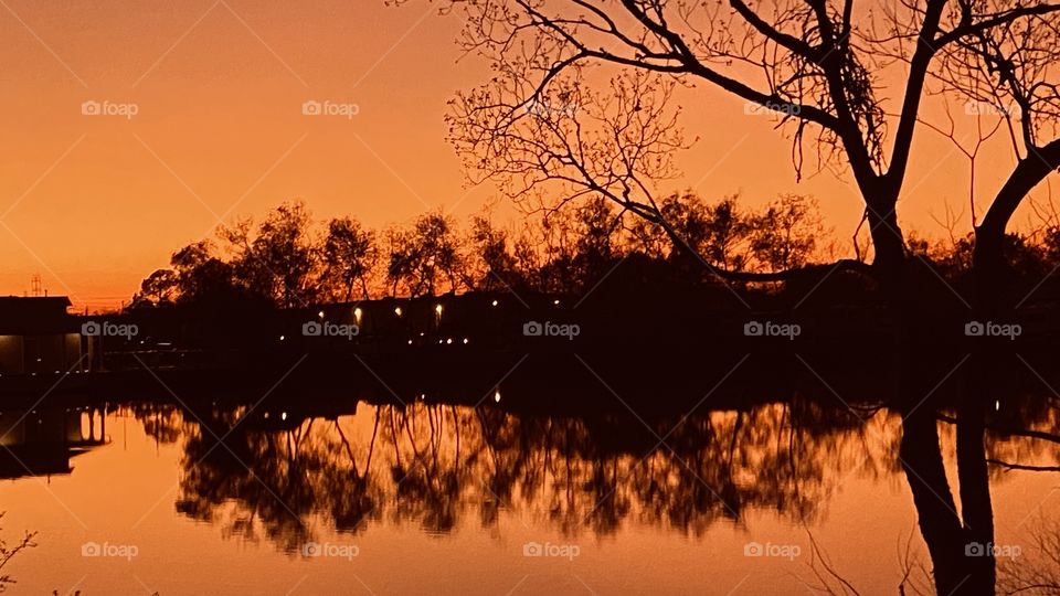 Sundown orange backlit glow from Horizon. 