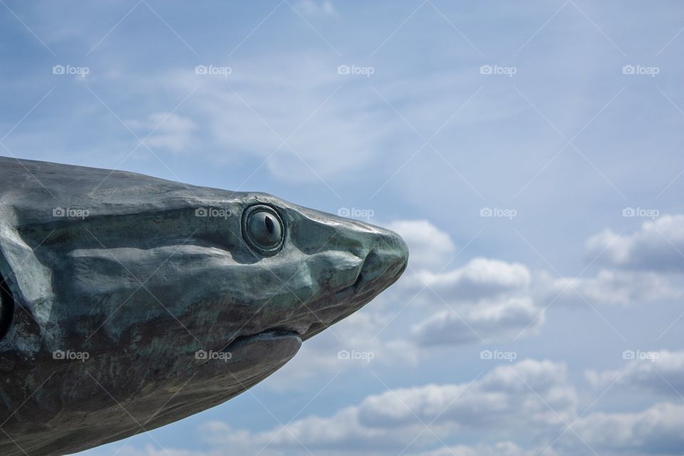 Shark statue against a blue sky