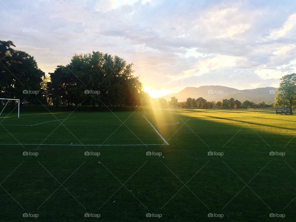 Sunlight on grassy ground