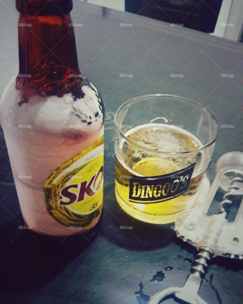 cerveja beer bebida drink