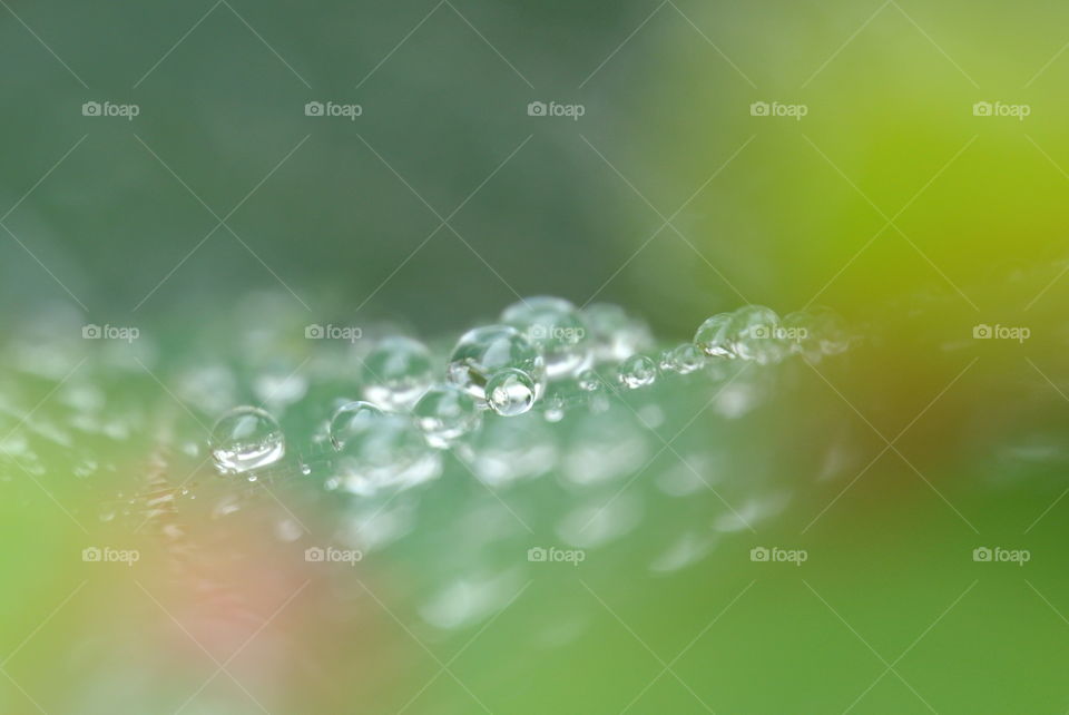 Close-up of raindrop background