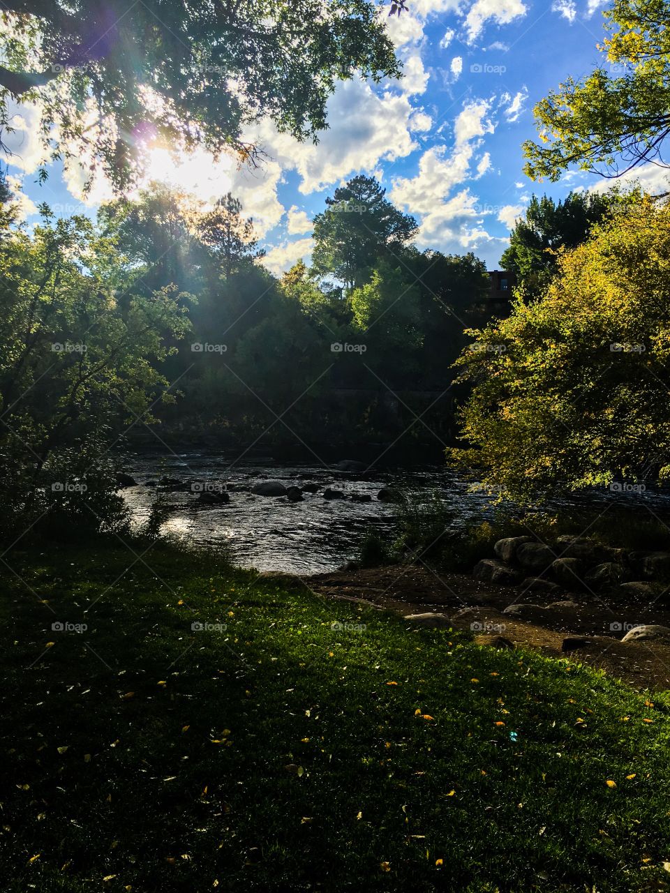 River reflection