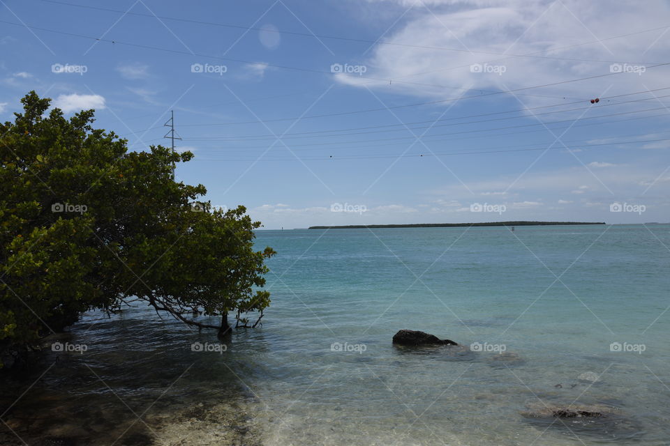 Blue Waters of Islamorada 