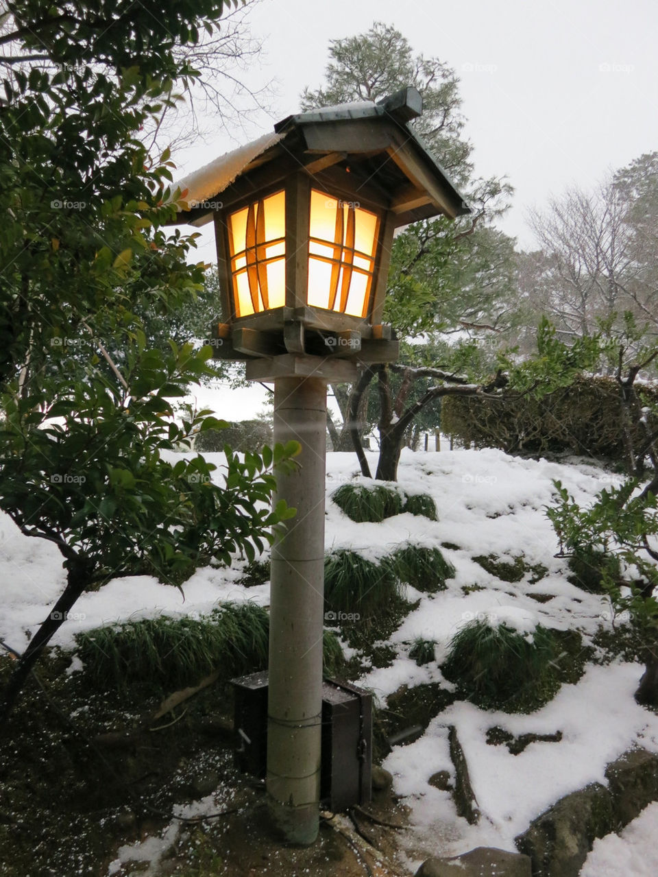 snow winter garden light by koji