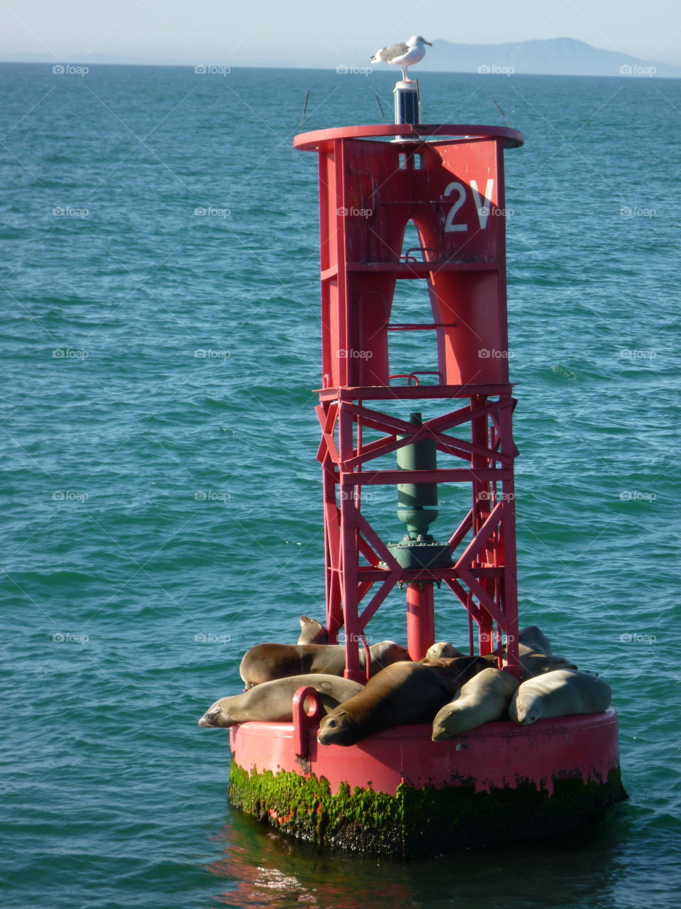 On the way to Santa Rosa island