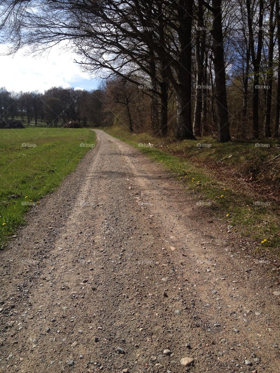 Gravel road in springtime